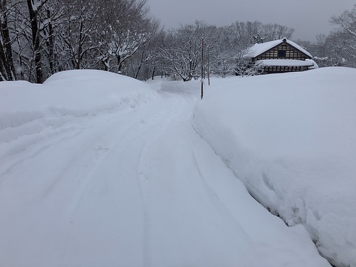 雪の状況